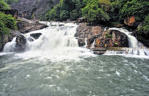 Entry was banned to Manimuthar waterfalls, which witnessed flooding due to extremely heavy rainfall in the Western Ghats region on Sunday