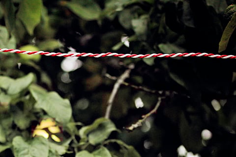 Image used for representational purposes.