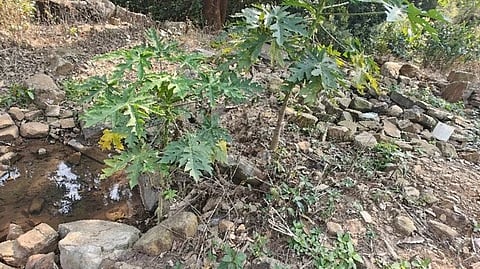 Image used for representative purpose.