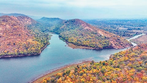 Aerial view of Debrigarh wildlife sanctuary in Bargarh district 