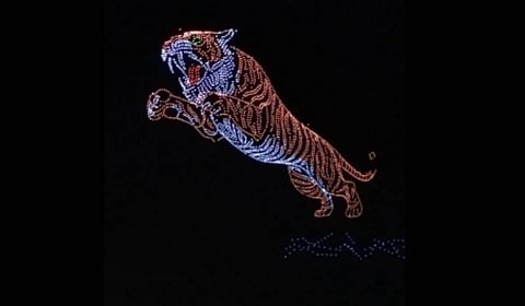 The tiger image that has caught the attention of the Guinness authorities was created using around 3,000 drones.