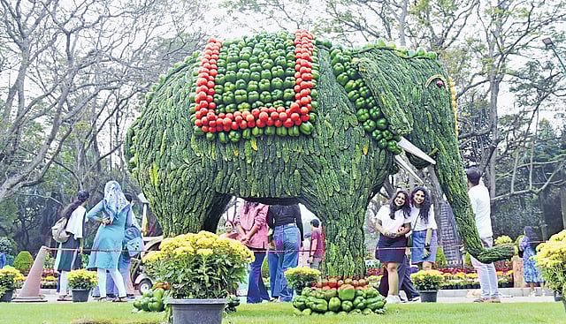 An elephant made of fruits and vegetables is the star attraction at the inauguration of the Cubbon Park Flower Show on Thursday. 