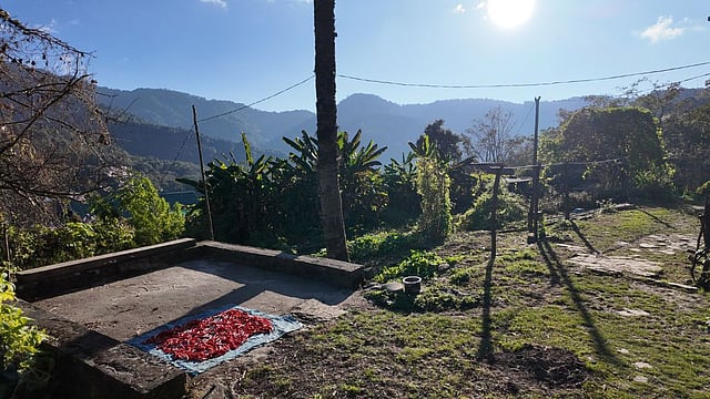 The backyard of the chief's house in Dzuleke Village