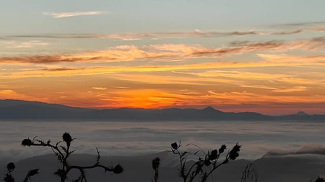 A view from Kapamodzu Peak in Phek district, Nagaland