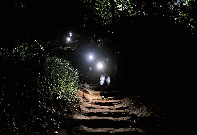Tourists use mobile flashlights to navigate a poorly-lit path to the beach