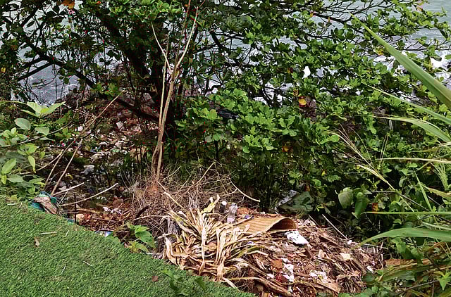 Dumping of waste remains a bane of Varkala