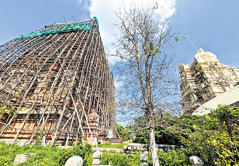 Ongoing works at temples in Tiruchy and Vellore 