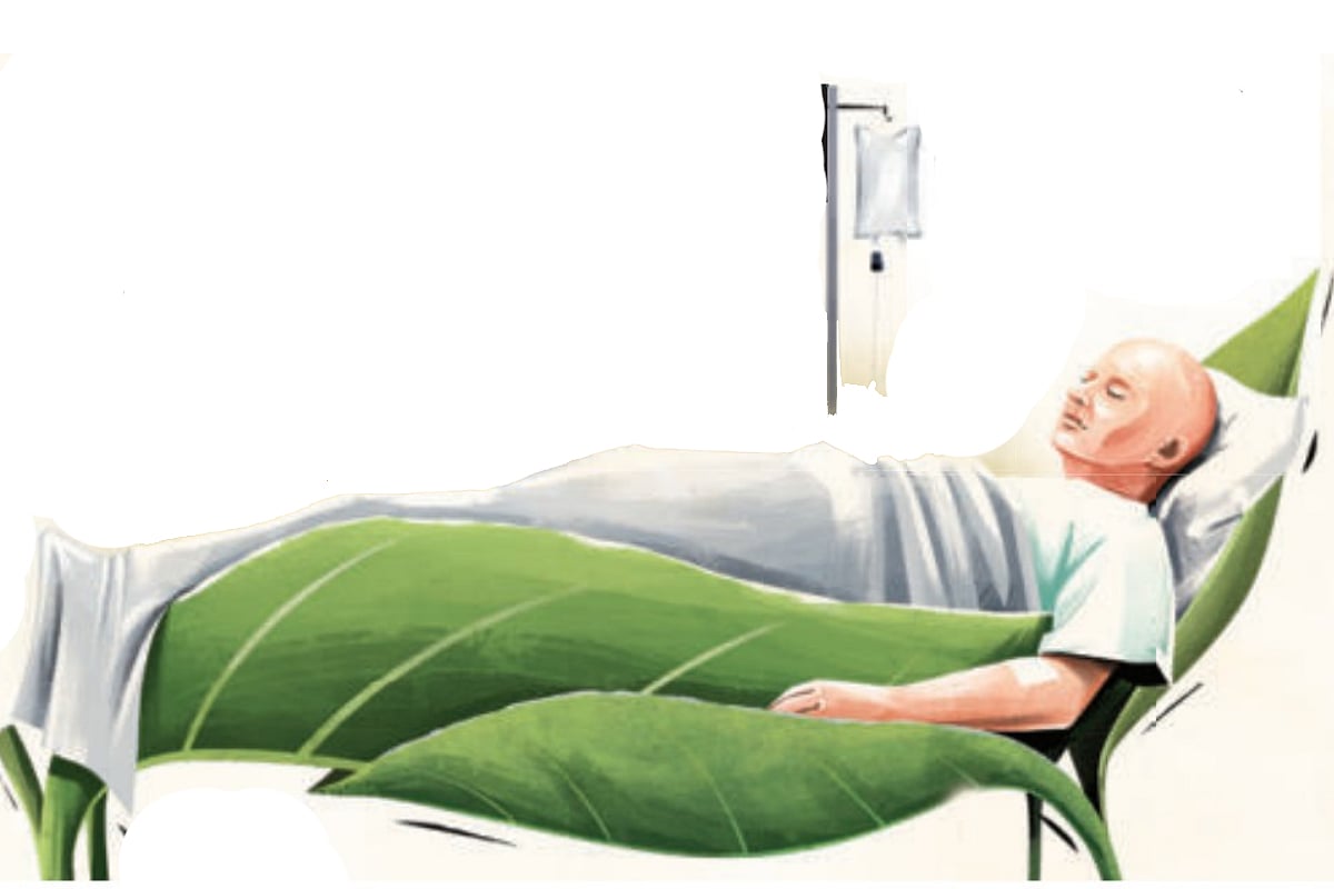 Only 4% have access to palliative care in India