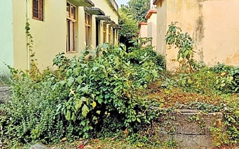 Overgrown bushes at the backside of RNT college | RASHMIRANJAN MOHAPATRA 