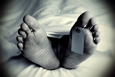 Rats allegedly gnaw deceased man's face in Haridwar hospital mortuary; family vandalises premises