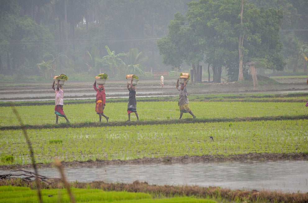 The New Indian Express - Other - News Image