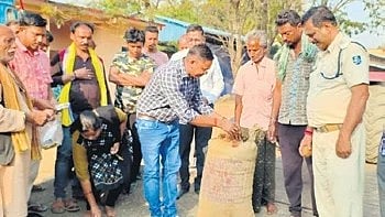 Procurement starts at Kalapani mandi.