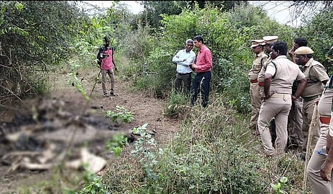 District Forest Officer TK Ashok Kumar said that the elephants are believed to have died a few weeks ago.