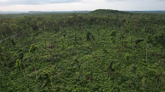 MoEFCC approves forest land diversion for renewable energy project despite regulatory violations