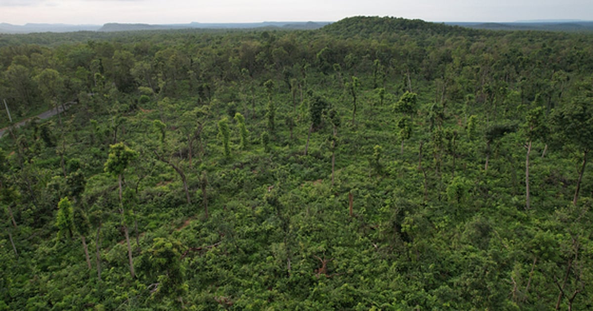 The New Indian Express - Business - News Image