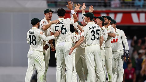 Australia's players celebrate the wicket of England's Joe Root during the second Ashes Test in Brisbane (Photo | AP)