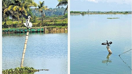 He concluded with a poignant observation: “Some landscapes don’t just impress; they recalibrate you.”