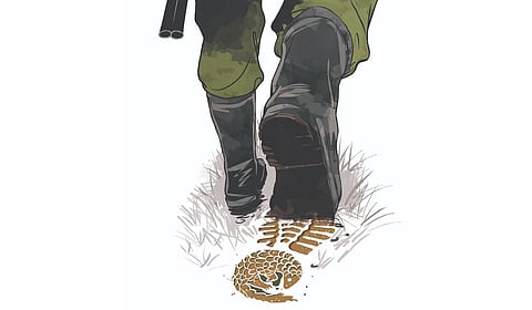 What was once linked to poverty has now grown into a lucrative mafia-driven trade.