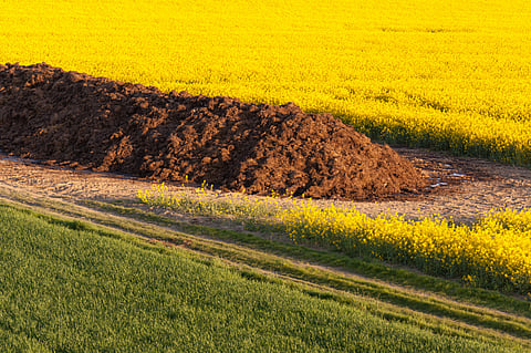 Fertilisers in India: What really works