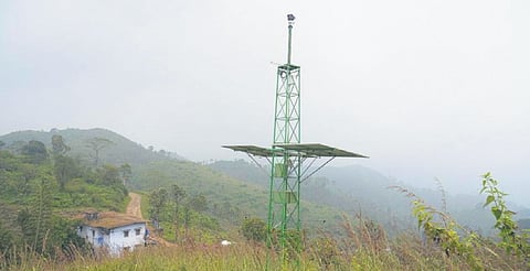An AI camera that has been installed at a forest in Gudalur division