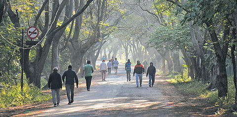 Bengaluru braces for 15 degree Celsius nights