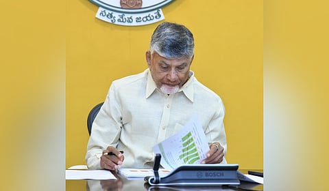 CM Nara Chandrababu Naidu 