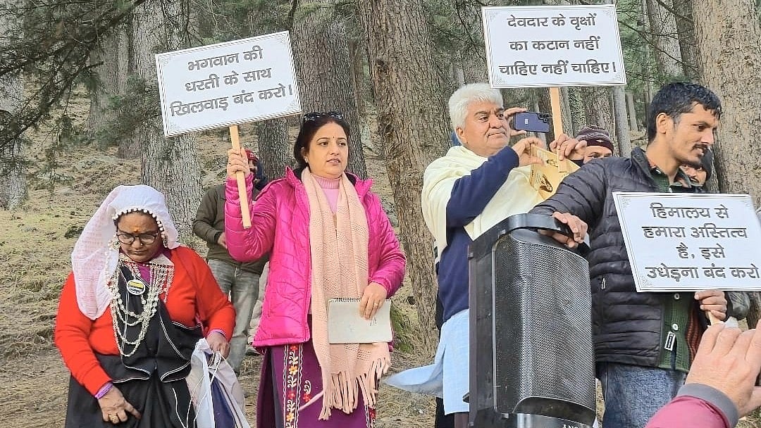 Uttarakhand to fell 5,745 trees for Bageshwar-Kanda highway upgrade; triggers ecological concerns