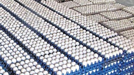 Image used for representational purposes only. 