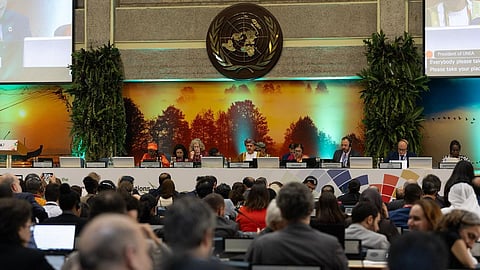 The seventh session of the United Nations Environment Assembly (UNEA-7) concluded on Friday in Nairobi with the adoption of 11 resolutions.
