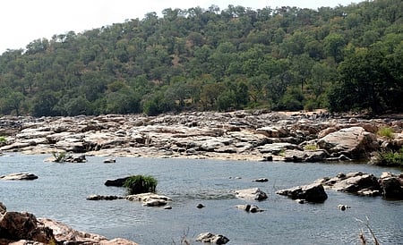 Cauvery River image used for representation purposes only.