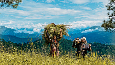 A still from the film 'Pyre'