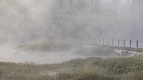 Ooty shivers amid sharp dip in temperatures, frost blankets Tamil Nadu's Nilgiris