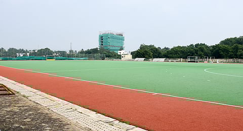 The current turf at Anna stadium is more than 10 years old and needs replacement, say experts.