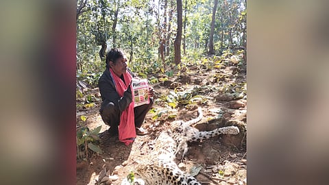 The accused with the leopard’s carcass