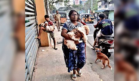 Pet owners wait to get their dogs vaccinated and implanted with microchip, outside an ABC centre at Thatankulam on Sunday
