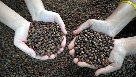 Image used for representation purposes only.