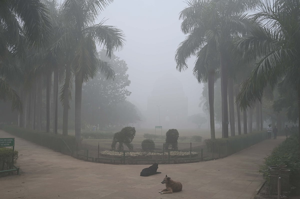 The New Indian Express - Health - News Image