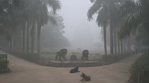 A view shows the Lodhi Garden amidst foggy conditions in New Delhi on Monday.