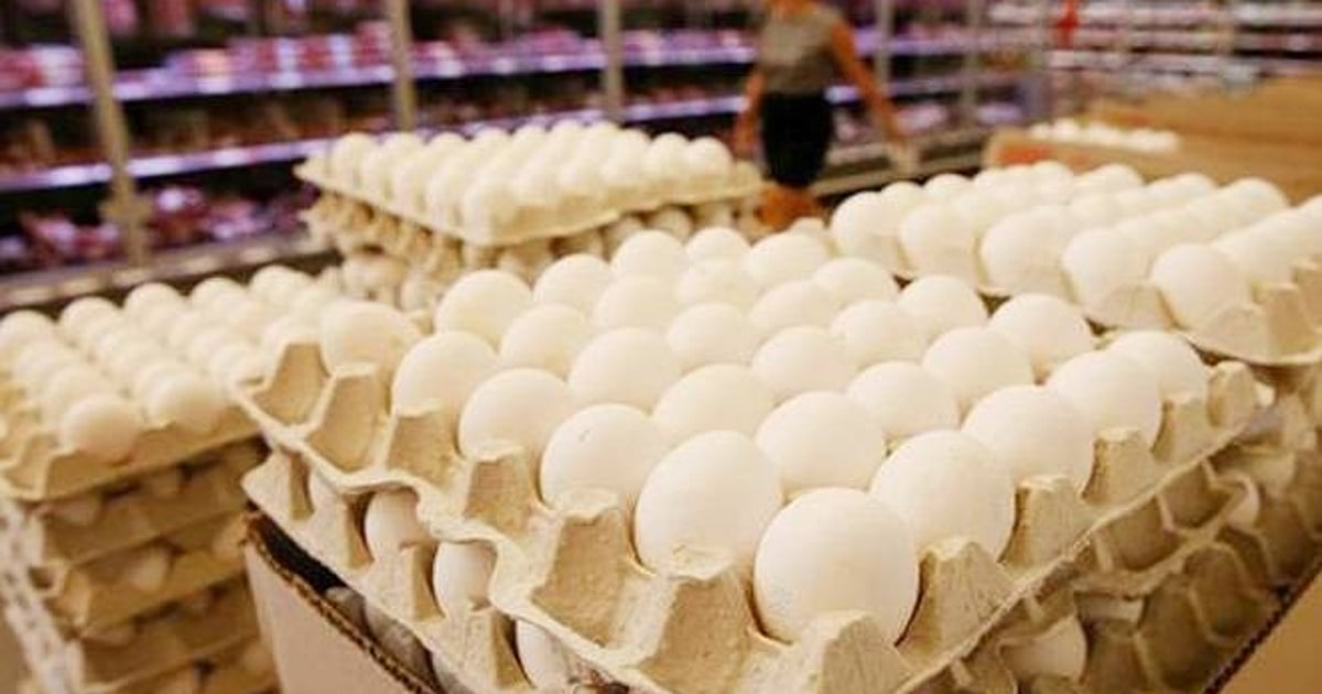 The New Indian Express - Other - News Image