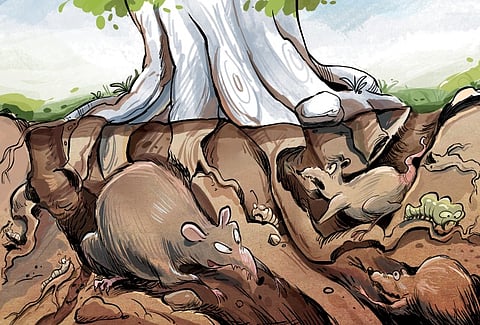 Representational image