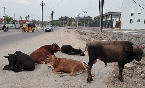 However, residents in several localities claimed that the issue remains unresolved. 