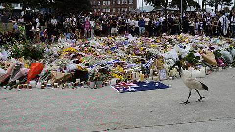 An Ibis walks past a flower memorial by the Bondi Pavilion at Bondi Beach on Tuesday, Dec. 16, 2025, following Sunday's shooting in Sydney, Australia.