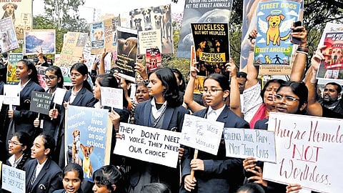 Members of South Bengaluru Cares stage a protest against GBA over removal of stray dogs, at Freedom Park in Bengaluru on Tuesday.