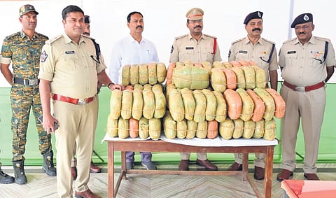 Police with ganja seized during a vehicle check conducted at BB Gudem village in Krishna district on Wednesday.