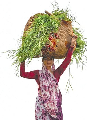 Names of 16L MGNREGS workers out