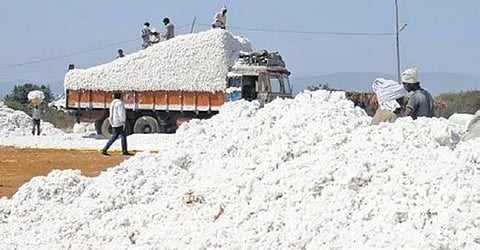 Over 65 ginning mills and procurement centres were inspected across major cotton-growing districts.