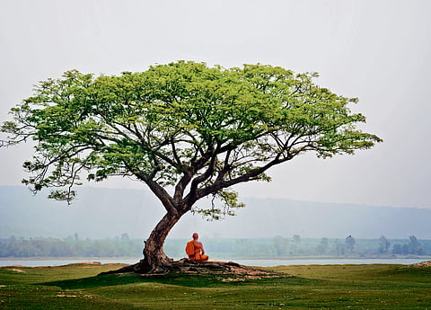 Discovering the Divine Connect