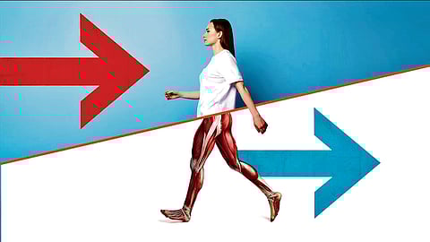 Taking a Few Steps Back