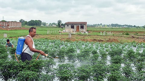 Image used for representative purpose.