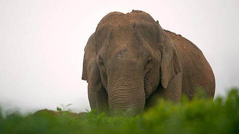 Image used for representative purpose.